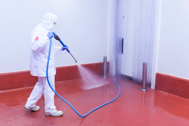 Best Roof Washing  in Columbus, MT